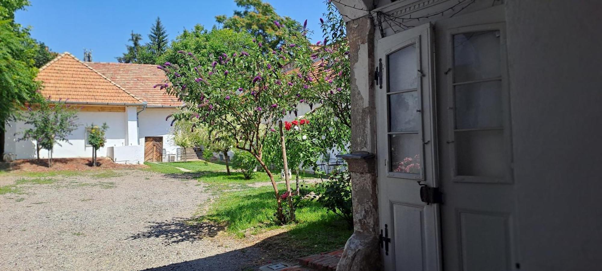 Plitzner Belvarosi Apartmanhaz Eger Eksteriør bilde